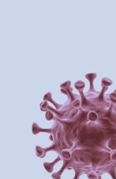 肿瘤相关性疫苗